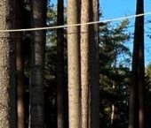 Продать Дачи, коттеджи, загородные дома Рощино пгт, улица Асташева, 16   