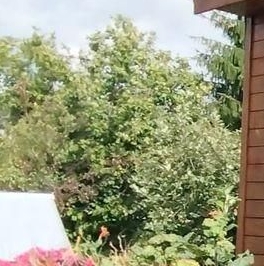 Продажа дома Красницы садоводческий массив