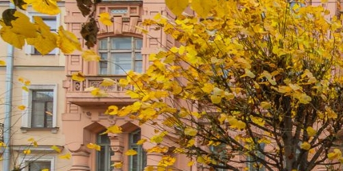 1-комн квартира Фурштатская улица, 11