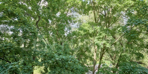 2-комн квартира улица Трефолева,  д. 11