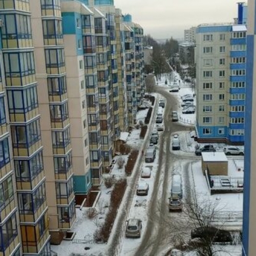 2-комн квартира Колтуши, ул Генерала Чоглокова,  д. 1