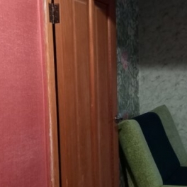 Продажа 1-комн квартиры на вторичном рынке Шатурторф, ул Красные Ворота,  д. 18а