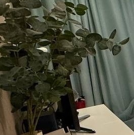 Продажа 3-комн квартиры на вторичном рынке Реутов, улица Октября, 6 Продажа 3-комн квартиры на вторичном рынке Реутов, улица Октября, 6