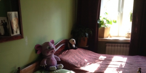 2-комн квартира угол между Красноармейская ул и Степана Супруна ул,  д. 9