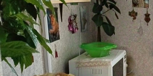 1-комн квартира улица Молодцова, 31К2