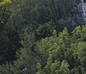 Продать Квартиры вторичка улица Маршала Тухачевского, 25К2   