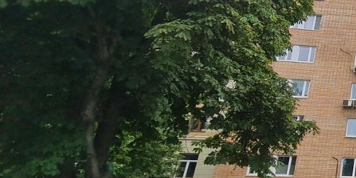 3-комн квартира Кутузовский проспект, 3