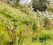 Продать Дачи, коттеджи, загородные дома д. Новосергиевка, 28   