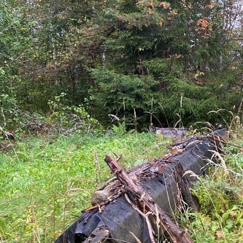 Земельный участок Нева СНТ, 1-я линия