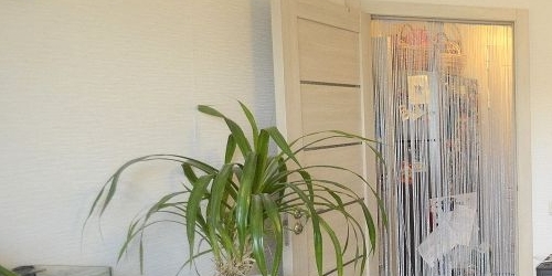 2-комн квартира Новоизмайловский проспект, 4