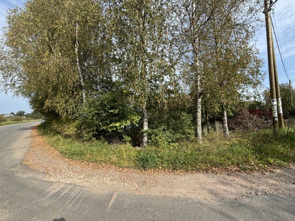 Продажа земли д. Шаглино, 14