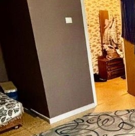 Аренда 1-комн квартиры на вторичном рынке Камчатская улица, 7