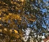 Продать Квартиры вторичка Лобня, Мирная улица, 1   