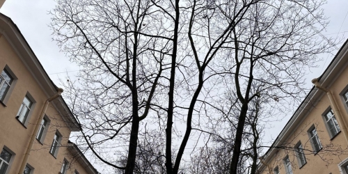 3-комн квартира Шпалерная ул. ,  д. 3