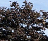 Продать Квартиры вторичка улица Даниловский Вал, 1А   