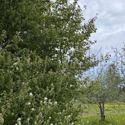 Коттедж/дом пос. При железнодорожной станции Войбокало, улица Привокзальная,  д. 14