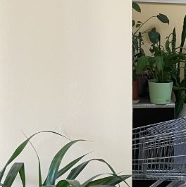 Аренда 2-комн квартиры на вторичном рынке улица Панферова, 4 Аренда 2-комн квартиры на вторичном рынке улица Панферова, 4