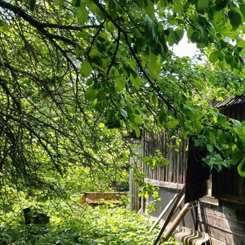 Коттедж/дом д. Пяхта, улица Народная, 45