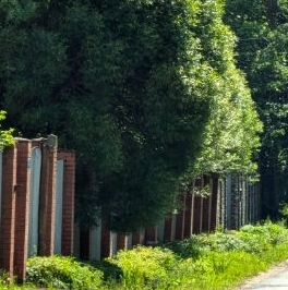 Продажа дома Красное Село, Дудергоф тер.