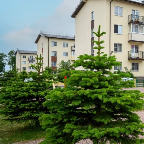 1-комн квартира пос. Щеглово, 93