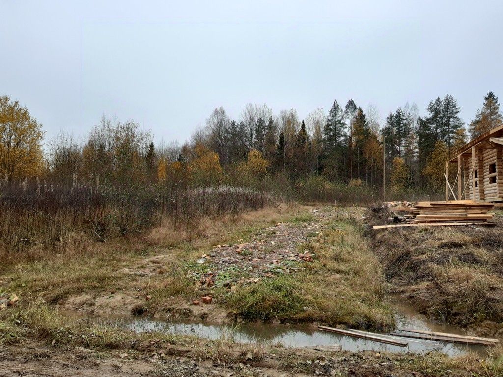 Продажа земли д. Белоголово, 25