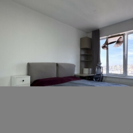 Продажа 1-комн квартиры на вторичном рынке Пеники, ул Центральная,  д. 14