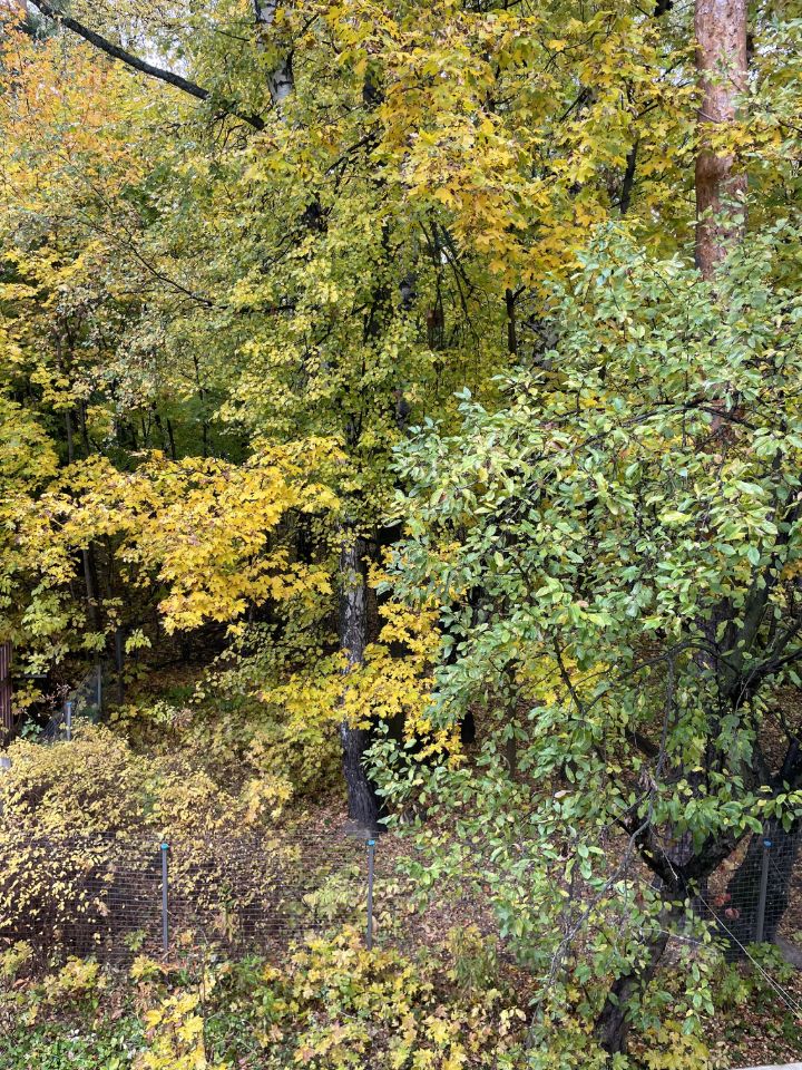 Продажа 2-комн квартиры на вторичном рынке Пушкино, Октябрьская улица, 2