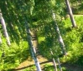 Продать Дачи, коттеджи, загородные дома Озерное СНТ, 151   