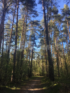 Продажа 1-комн квартиры на вторичном рынке Октябрьский, улица 60 лет Победы,  д. 1