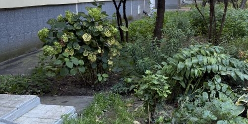 3-комн квартира улица Декабристов, 21