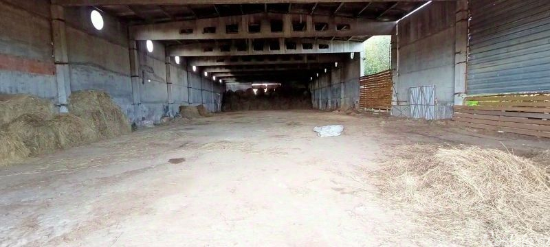 Аренда склада Ново, Фабричная улица,  д. 43