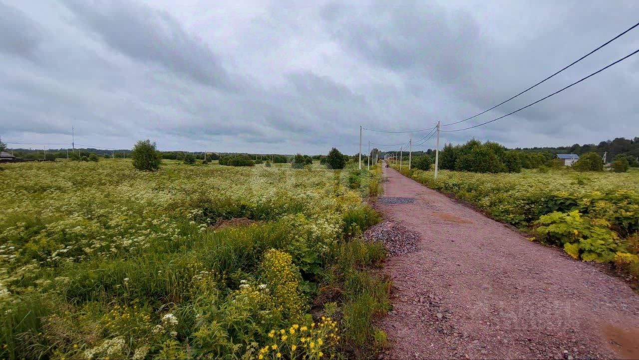 Продажа земли Новое Заостровье СНТ, улица Звездная