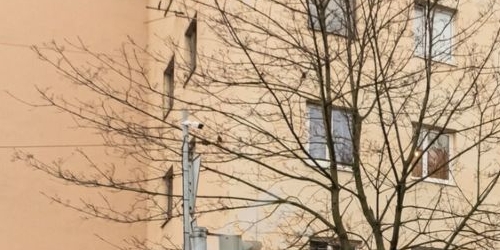 3-комн квартира улица Решетникова, 17К1