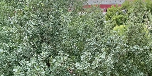 3-комн квартира Косая линия, 24/25