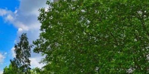 1-комн квартира Петергоф, Суворовская улица, 3к11