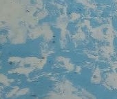 Продать Квартиры вторичка Дальневосточный проспект, 68К1   