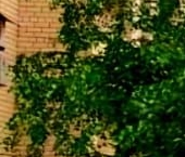 Сдать в аренду Квартиры вторичка Люберцы, улица Шевлякова, 27/1   