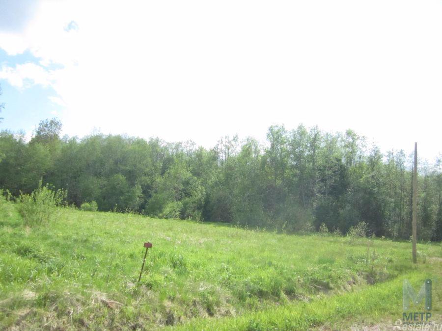 Продажа земли Ленинградская область, Всеволожский муниципальный район, Колтушское сельское поселение, дер. Коркино, ул. Моховая