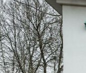 Продать Дачи, коттеджи, загородные дома пос. Александровская, шоссе Волхонское, 22   