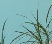 Продать Квартиры вторичка Боброво пгт, улица Крымская, 21к1   