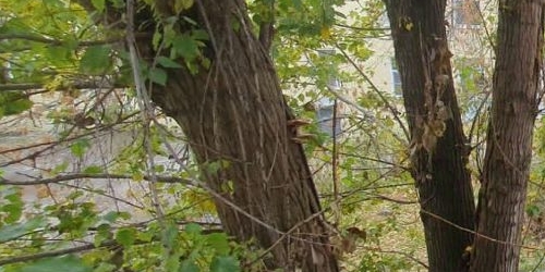 3-комн квартира переулок Дойников, 5-7