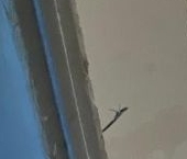 Продать Квартиры вторичка Свердловский пгт, улица Строителей, 3   