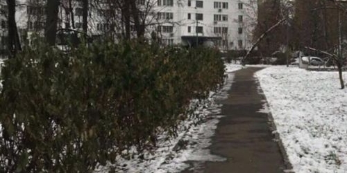 Комната Лосевская улица, 1К3