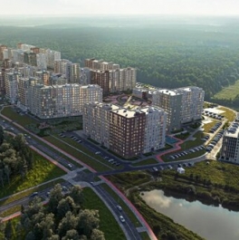 Продажа 1-комн квартиры на вторичном рынке Новоселье, ул Невская,  д. 11/1