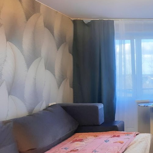 2-комн квартира д. Пудомяги, 2