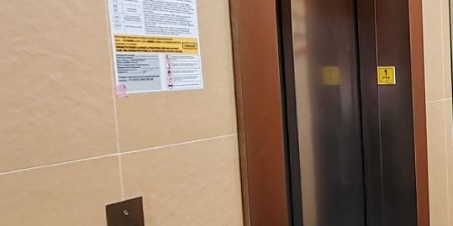 Студия Дальневосточный проспект, 23