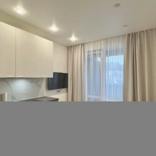 1-комн квартира Приморский пр-кт,  д. 52 к1