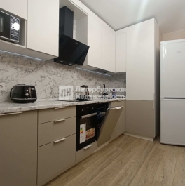 Аренда 1-комн квартиры на вторичном рынке поселок Парголово, поселок Парголово, ул Заречная, д 13 к 1 стр 1