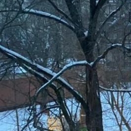 Продажа 4-комн квартиры на вторичном рынке переулок Коробейников, 1 Продажа 4-комн квартиры на вторичном рынке переулок Коробейников, 1