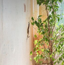 Продажа 6-комн квартиры на вторичном рынке Средняя Подьяческая улица, 15